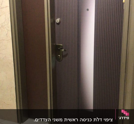 דלת חומה עם ציפוי דקורטיבי וידית מתכת